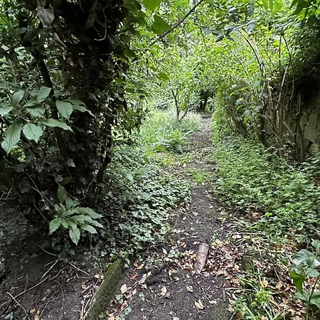 بيت للعطل The Smithy *