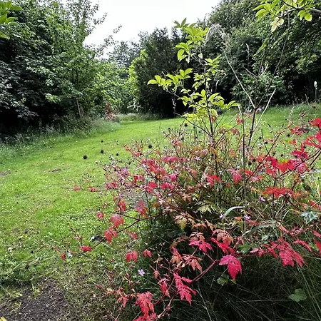 The Smithy Holiday home