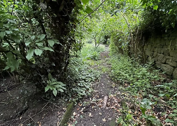 Ferienhaus The Smithy *