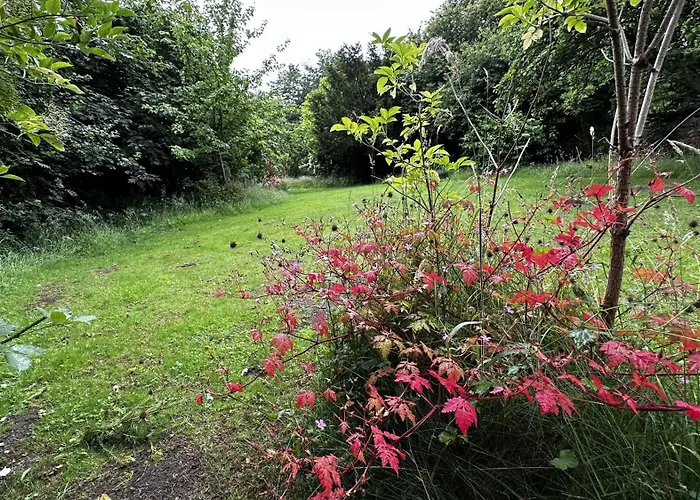 The Smithy Ferienhaus