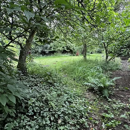 The Smithy 纳尔斯伯勒